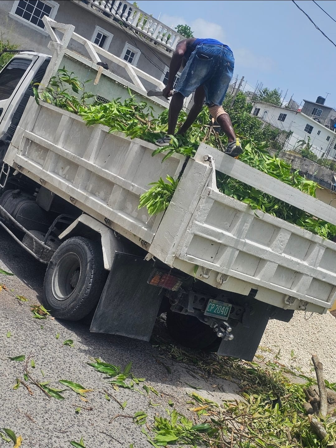 Yard & Lot Clearing — Equip Pro JA cleanup services Montego Bay