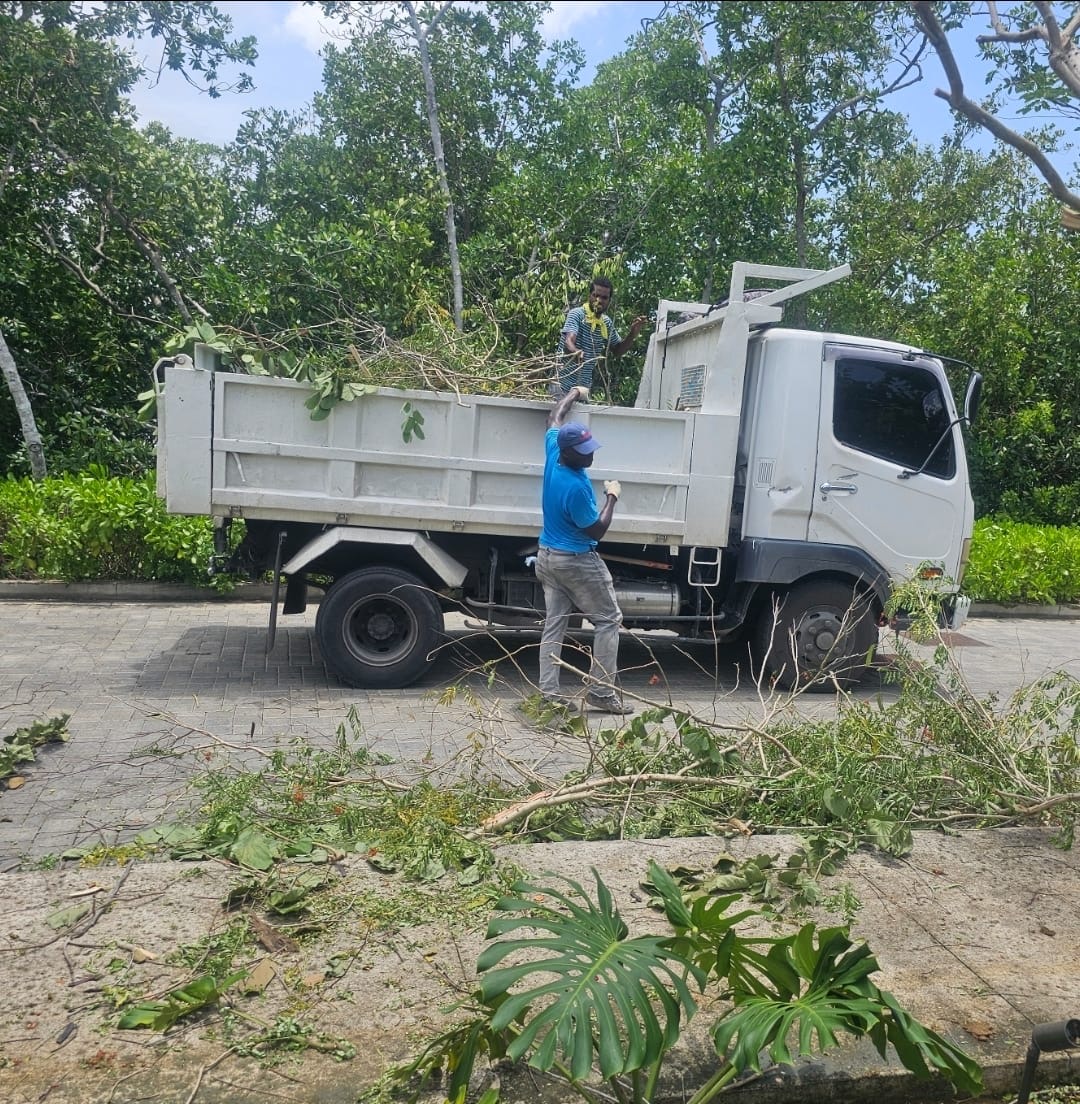Vegetation & Tree Debris Removal — Equip Pro JA cleanup services Montego Bay